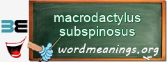 WordMeaning blackboard for macrodactylus subspinosus